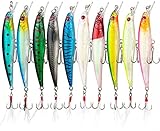 Esca da Pesca Spinning, Weinsamkeit 10 Pezzi 3D Esche Artificiali Esca Finta Pesca Mare, Fishing Lure per Trota Spigola Luccio, Pesca Accessori kit per Acqua Dolce e Salata