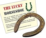 Ferro di cavallo autenticamente usato e logorato da un cavallo da lavoro – The Lucky type [traduzione italiana non garantita] Iron (rustic)