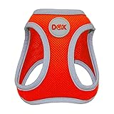 DDOXX Pettorina Cane Air Mesh, Step-In, Rifrangente | Più Colori | Pettorina Cane Taglia Media o Piccola | Pettorina Gatto o Cane | Arancione, L, frontline combo cane 2 10 kg