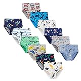 LeQeZe Slip Bambino in Cotone Intimo 3-4 Anni Mutande Ragazzo Confezione da 12 Pezzi (Boys Briefs 01,Etichetta del Produttore 110)