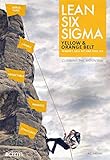 Lean Six Sigma Yellow & Orange Belt: Mindset, skill set and tool set: Volume 7