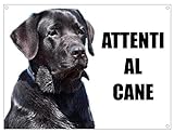 LABRADOR attenti al cane mod 1 TARGA cartello IN METALLO (15X20)