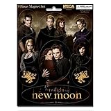 NECA – 21326 – Twilight – Set di magneti Cullen Family