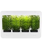 PrixPrime - Mini LED per Giardino da 14W di Luce Bianca