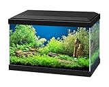 ASKOLL Acquario Aqua 20 nero 40x20x31 con led e filtro 17 litri