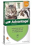 Advantage Soluzione Spot On per Gatti e Conigli Piccoli, 40 mg, 4 Pipette