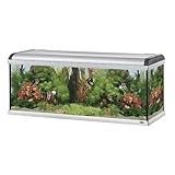 Ferplast 66991099 Acquario Star 160, Dolce Acqua, Dimensioni: 162 X 62 X H 675 cm, 570 Litri