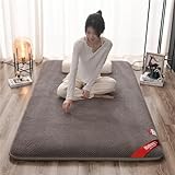 QiuShuiDr Materasso Futon Pieghevole Giapponese, Materasso Futon Spesso, Tatami Materassi da Terra, Pieghevole Ospiti Materasso ​da Pavimento Morbido Futon Naturale (Color : B, Size : 120x200cm)