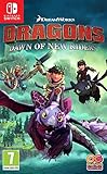 Dragons Dawn of New Riders - Nintendo Switch [Edizione: Regno Unito]