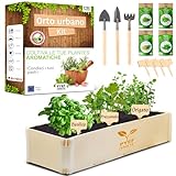 Kit Orto in Casa Erbe Aromatiche PYEF CRAFTS - Kit Giardinaggio per Piante Aromatiche Basilico, Origano, Prezzemolo e Coriandolo - Kit Coltivazione per Orto da Balcone e Cucina - Kit Orto Urbano (M)