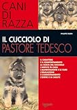 Il cucciolo di pastore tedesco