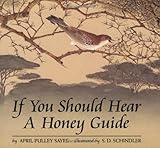 If You Should Hear a Honey Guide