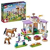 LEGO Friends Addestramento Equestre, Scuderia Cavalli Giocattolo con Pony, Mini Bamboline Aliya e Mia, Regalo per la Cura degli Animali per Bambini, Bambine dai 4 anni 41746