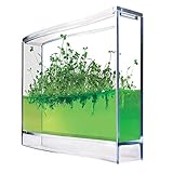 MostroMania Mini Serra Fai da Te per Erbe Aromatiche - Ecosistema - Giardino da Appartamento - Kit Botanico per Piante Indoor - Prezzemolo - Rucola - Timo