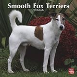 Smooth Fox Terriers 2010