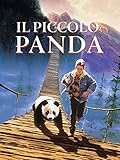 Il Piccolo Panda