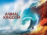 Animal Kingdom - Stagione 4