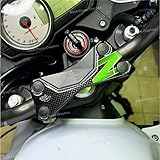 Adesivo Resinato 3D Protezione Piastra Forcella compatibile per moto KAWASAKI z750 z1000 z (Nero Verde)