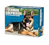 German Shepherds 2023 Calendar