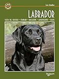 Labrador (Cani di razza)
