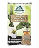 AGRIBIOS TERRICCIO Piante GRASSE & Bonsai 10 LT Miscela con Torba Naturale Argilla pomice