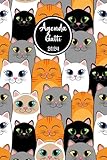 Agenda 2024 Gatti: Calendario geornaliero e settimanale dell anno e Planner Mensile, gatto - 160 Seiten - ideale come regalo per chi ama i gatti