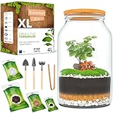 PYEF CRAFTS Terrarium Kit XL per un Ecosistema Autosufficiente - DIY Kit Terrario Piante Vetro 4L - Kit Terrarium Vetro XL per Giardino in Bottiglia Ecosistema - Senza Pianta (Kit con Bottiglia XL 4L)