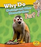 Why Do Monkeys and Other Mammals Have Fur?