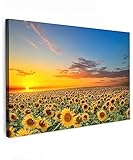 MuchoWow© Quadri Astratti su Tela 120x80 cm Foto Quadro Moderno Soggiorno Canvas Decorazioni Camera da Letto Fiori - Girasole - Tramonto - Notte - Arancione - Campagna