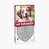 Bayer - 6 fialette Advantix per cani 10-25 kg