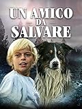 Un Amico da Salvare