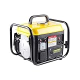 Generatore di Corrente Portatile, Potenza del Motore 1KW, Motore 2 Tempi Silenziato, Potenza Continua da 600W a 1000w, Funzionamento Con Miscela 2% Serbatoio 4,2 Litri, 1 Presa 12V.