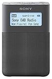 Sony Xdr-V20D - Radiosveglia Portatile con Speaker Fm/Dab/Dab+, Nfc, Grigio