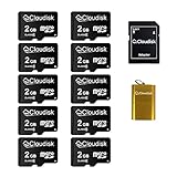 Cloudisk 10 Pack 2GB Micro SD Card in Bulk con adattatore SD Card Reader Scheda di memoria (Micro SD Card 2 GB)