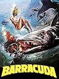 Barracuda