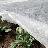 TENAX Ortoclima Plus 1,60x10 m Bianco, Velo Protettivo Antigelo Invernale per Piante, in TNT Tessuto non 30 g/m, Protegge Fiori e Ortaggi da Freddo, Gelo Vento