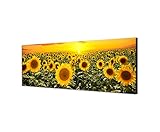 Leinwandparadies, quadro da parete su tela, panorama campo di girasoli, tramonto 150 x 50cm