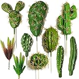 Cayway 10 Pz Succulente Piante Artificiali, Cactus di Artificiali Piante Grasse Finte Decorative Uncotted Faux Flower Succulente per Parete DIY Home Decor