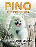 Pino The Pom Guida - Spitz di Pomerania