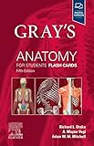 Gray s Anatomy for Students Flash Cards