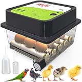 Okköbi OBI-12 Incubatrice per uova di gallina, anatra e altri uccelli + Nuova 2024 + Giratore automatico + Controllo della temperatura + Display umidità + Lampada sperauova + 5 anni di garanzia