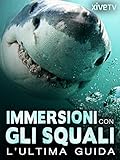 Immersioni con gli squali: l ultima guida