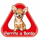 Adesivo bambino a bordo in vinile adesivo (Cane Chihuahua 1)