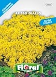 Sementi da fiore di qualità in bustina per uso amatoriale (ALISSO GIALLO)