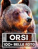 Libro Dell Orso - Libro Fotografico Degli Orsi - Grande Collezione Incredibile: 100 Bellissime Foto Di Orsi In Una Fantastica Collezione - Per Bambini E Adulti