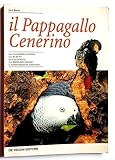 Il pappagallo Cenerino