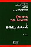 Diritto del lavoro 1 - il diritto sindacale: Vol. 1