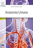 Anatomia umana