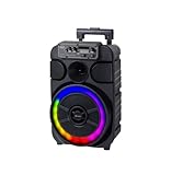 Trevi XFest XF 460 KB Altoparlante Amplificato 40W, Cassa Wireless Portatile con Microfono Incluso per Karaoke, Presa USB, Micro SD, AUX-IN, TWS, Batteria Integrata