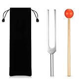 A432 Hz Tuning Fork 2 Pezzi Lega di Alluminio Sintonizzatore Musicale Strumenti Accurati Tuning Vibrazioni con Martello in Silicone e Borsa per Principianti Violino Chitarra